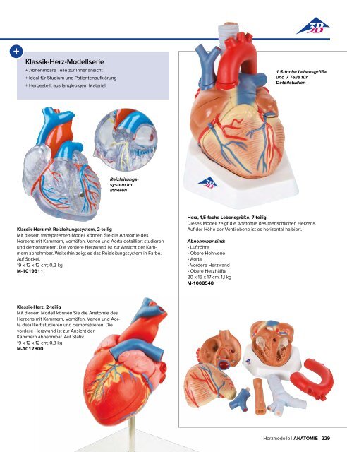 3B MEDIZIN | Biologie | Bachmann Lehrmittel