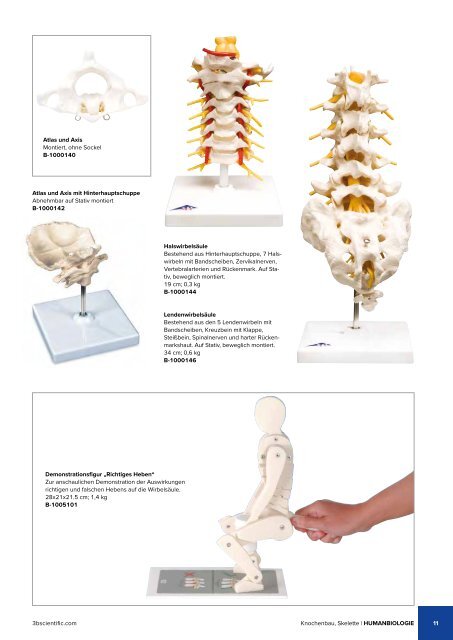 3B BIOLOGIE | BIOLOGIE | Bachmann Lehrmittel