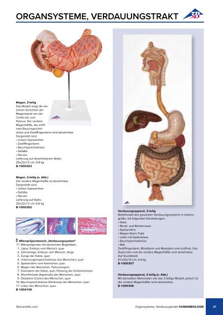 3B BIOLOGIE | BIOLOGIE | Bachmann Lehrmittel