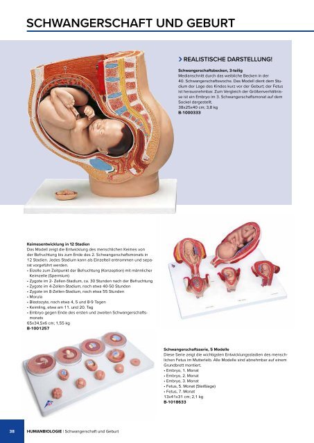 3B BIOLOGIE | BIOLOGIE | Bachmann Lehrmittel