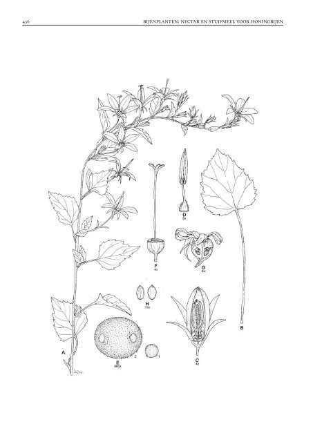 Bijenplanten_web