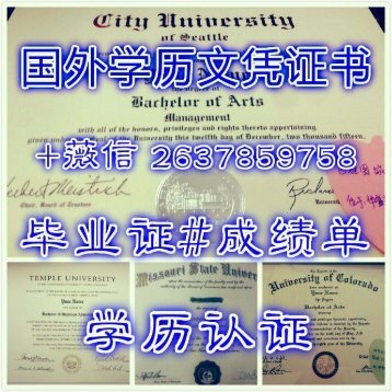 乌尔姆大学毕业证成绩单学历认证书Q微2637859758 Universit?tUlm巴登-符腾堡乌尔姆