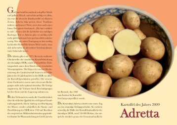 Flyer über Adretta - Kartoffel des Jahres 2009