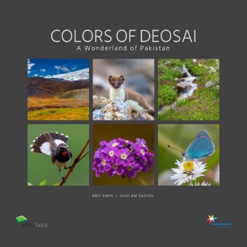 Colors of Deosai 