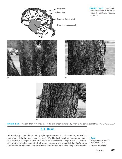 Horticulture Principles and Practices