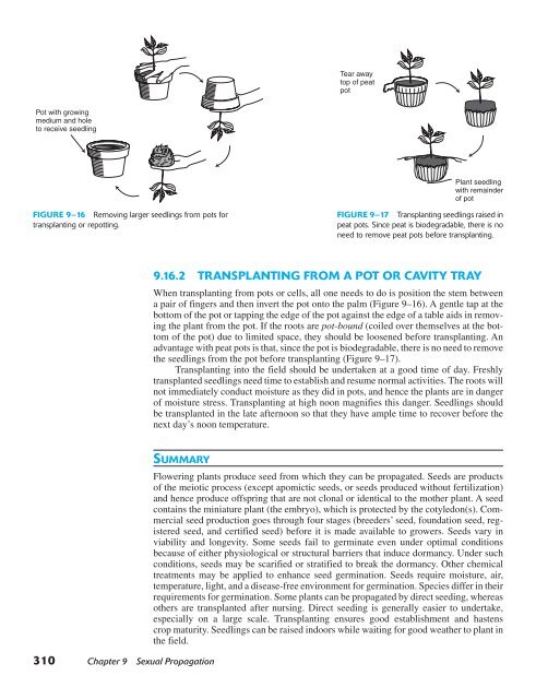 Horticulture Principles and Practices