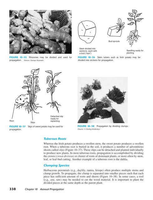 Horticulture Principles and Practices