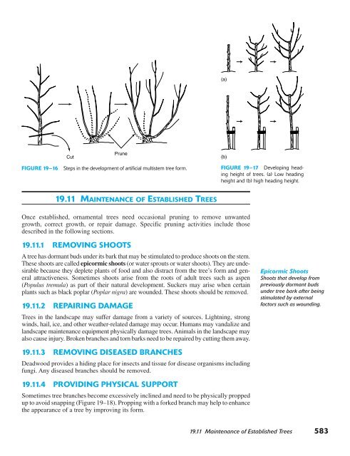 Horticulture Principles and Practices