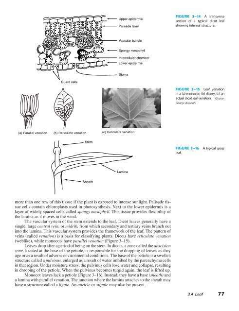 Horticulture Principles and Practices