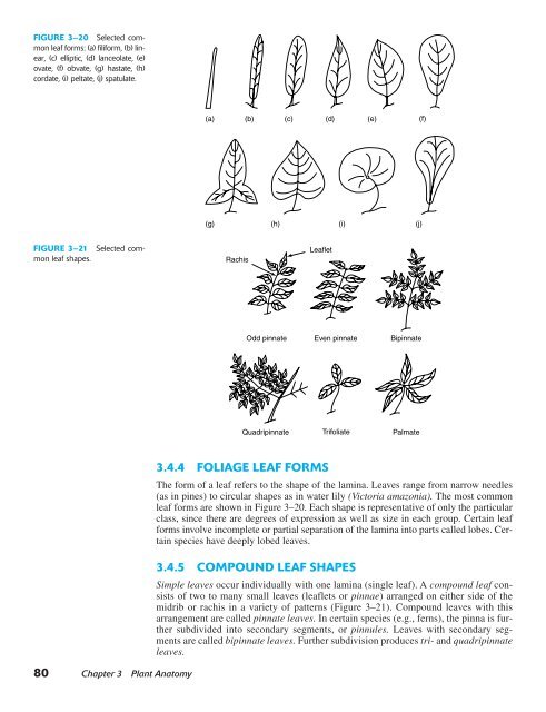 Horticulture Principles and Practices