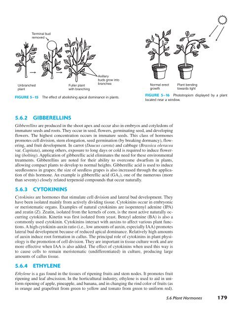 Horticulture Principles and Practices