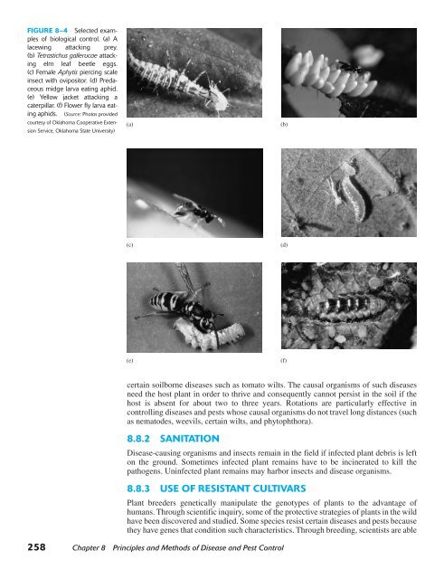 Horticulture Principles and Practices