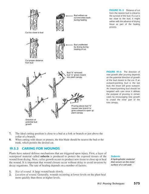 Horticulture Principles and Practices