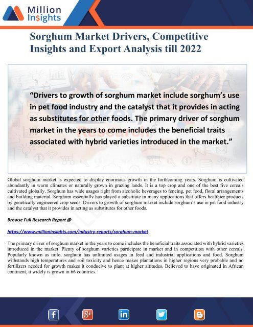 Sorghum Market Drivers, Competitive Insights and Export Analysis till 2022