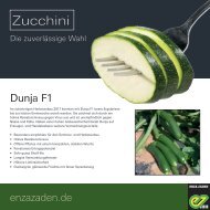 Zucchini Leaflet 2018