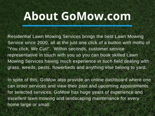 Lawn_Mowing_services_Irving_Plano