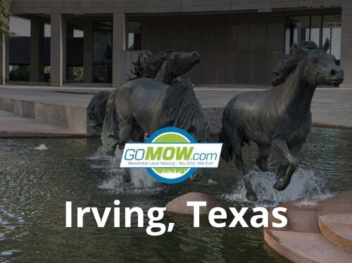 Lawn_Mowing_services_Irving_Plano