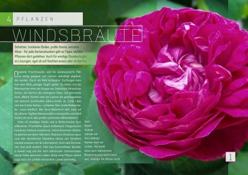 Garten Visionen