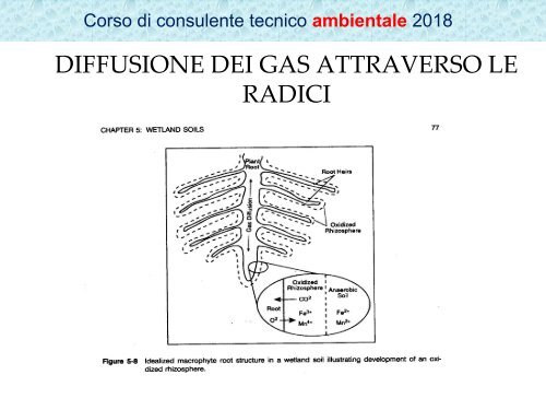 3. TUTELA DELLE ACQUE  (1)