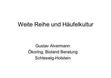 Weite Reihe und Häufelkultur - Bioland