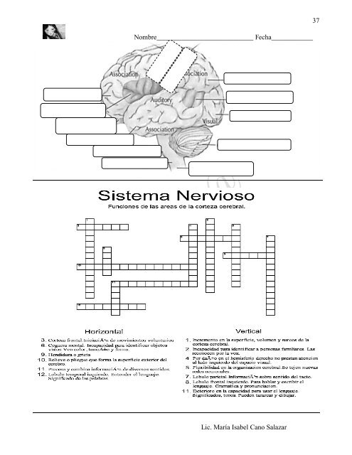 1.1 apuntes unidad 1.2.3.4 (alumnos) (1)