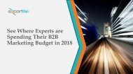 See Where Experts are Spending Their B2B Marketing Budget in 2018