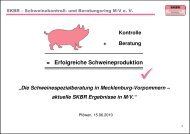 Schweinemast mit Optimierungsmöglichkeiten. Rene Füller, LMS