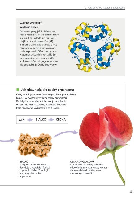 Biologia klasa 8