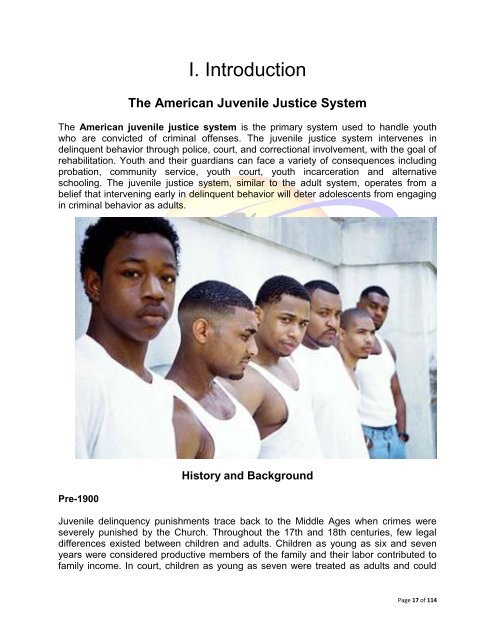 African-American Youth in The Juvenile Justice System