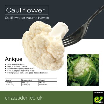 Leaflet Cauliflower Anique