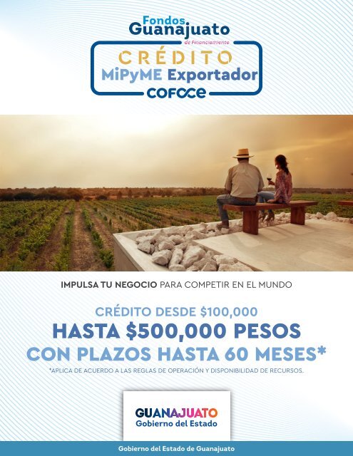 Crédito MiPyME Exportador - Fondos Guanajuato