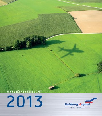 Geschäftsbericht 2013