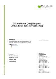 Recycling von Lithium-Ionen-Batterien - Zukunftsweisende ...