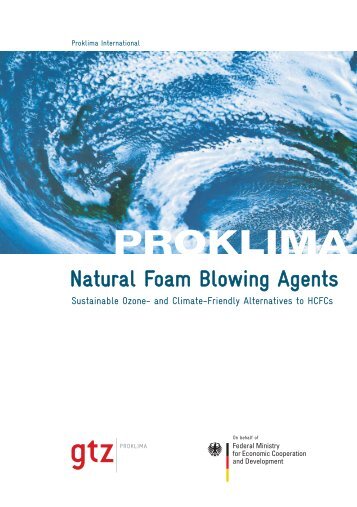 Natural Foam Blowing Agents - Deutsche Gesellschaft für ...