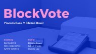 BlockVote Process Book