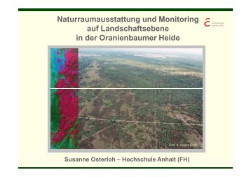 Naturraumausstattung und Monitoring auf Landschaftsebene in der ...