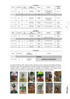 Newsletter abril 2018 - Page 6