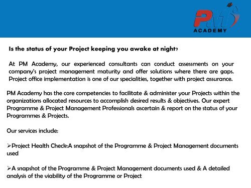 Project Management Consulting