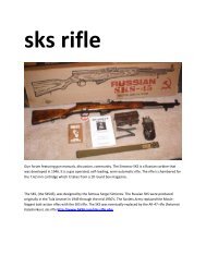 2 sks rifle