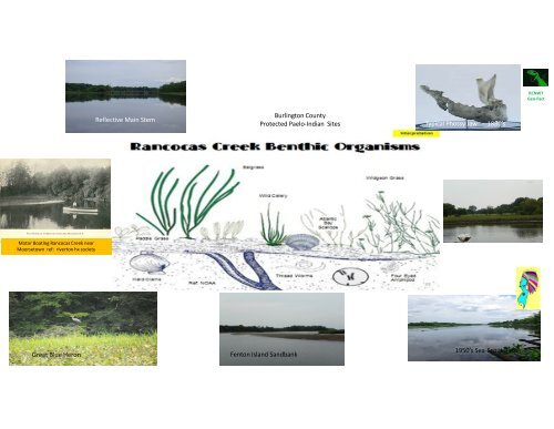 Microsoft PowerPoint - Rancocas Creek National Water Trail  master - 4211116