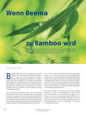 zu Bamboo wird - Bamboo Energy 1