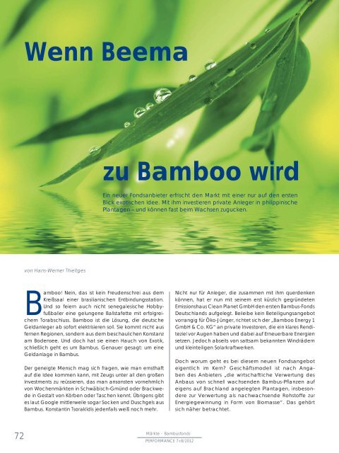 zu Bamboo wird - Bamboo Energy 1