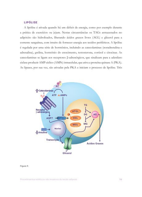 livro-desenvolvimento-e-cap1