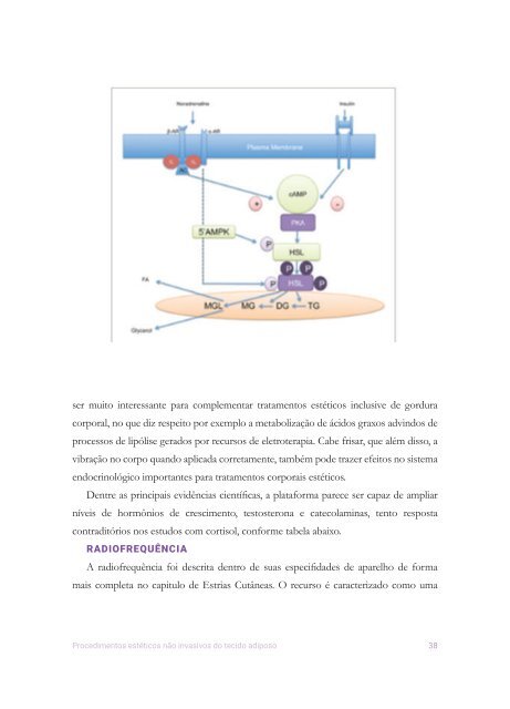 livro-desenvolvimento-e-cap1