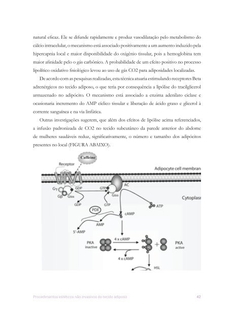 livro-desenvolvimento-e-cap1