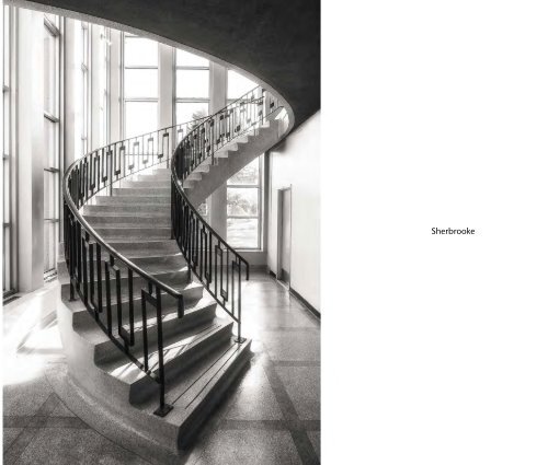 René Houle - Les escaliers du monde