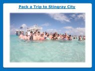 Pack a Trip to Stingray City