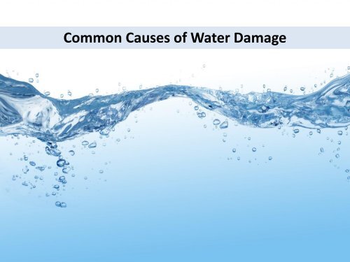 Common Causes of Water Damage