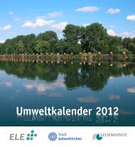 Umweltkalender 2012 - GELSENDIENSTE