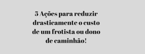 5 Ações para reduzir drasticamente o custo de um frotista ou dono de caminhão  - Por Alexandre Aguillar